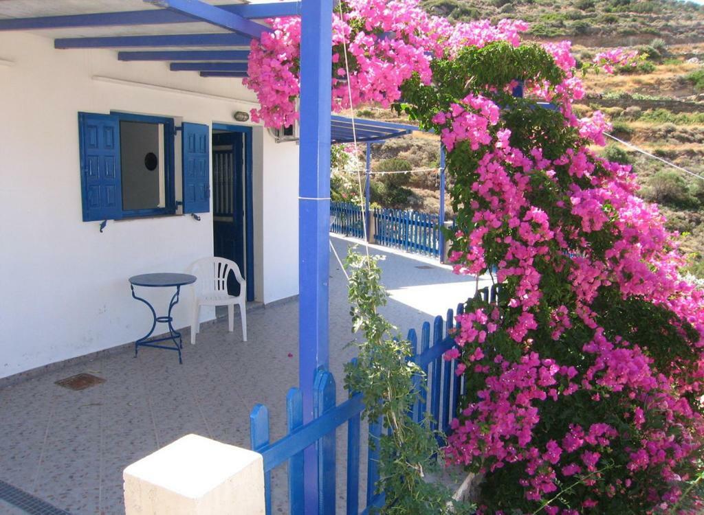 Villa Costa Studios Vathi  Buitenkant foto