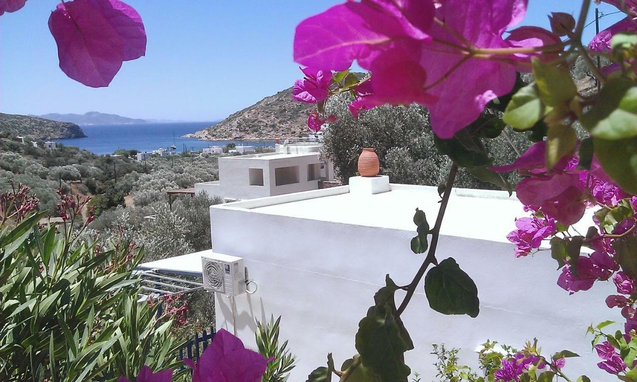 Villa Costa Studios Vathi  Buitenkant foto