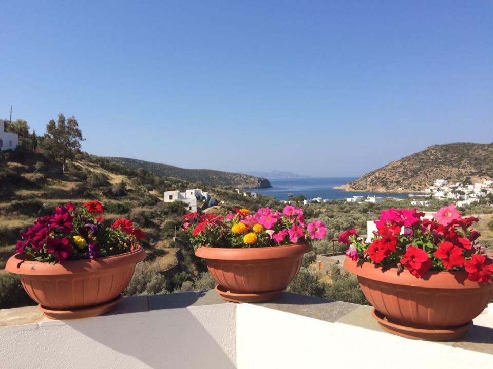 Villa Costa Studios Vathi  Buitenkant foto
